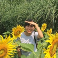 Mai Doan