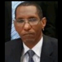 Mohamed Ibrahim