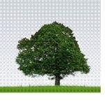 manomay erp technologies