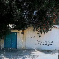 Mahmoud Falahat
