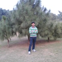 Raman Kant