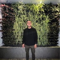 Abdelrhman Hesham