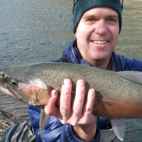 Patrick Harper Harper