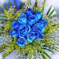 Chellam Divya