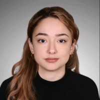 Merve Telli