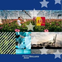 Pzh In Europa
