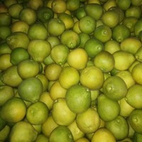 莫惠斌