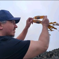 Robert Wynne, PhD