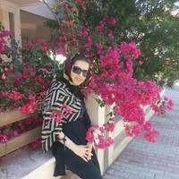 Fatemeh E