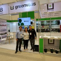 Greenvass México