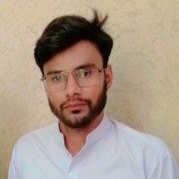 Mirza Ali