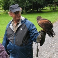 Ken McAuliffe