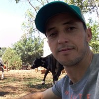 Winne Bernardes