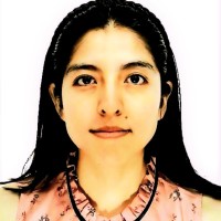 Elizabeth Santiago Torres