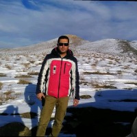 Mostafa Saleh