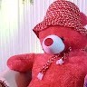 Priya Dharshini.M