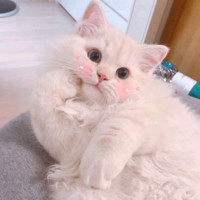 周杨月