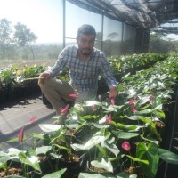 Emmanuel Castro Casagnon