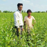Anand Prakash