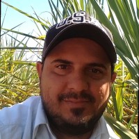 Luis Fernando Muller