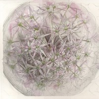kate houghton