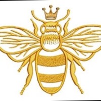 Donna Tkachuk Blanco