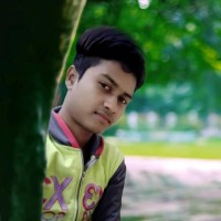 Mirza Tanin