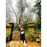 Sonal.N Ninjatech