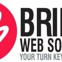 Brinks Web