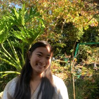 Catherine Zheng