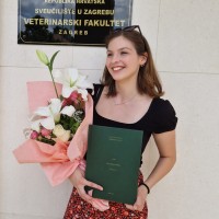 Iva Sulić