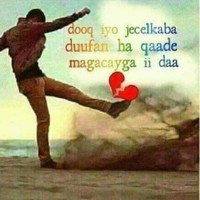 Mahad Ilka Boqol