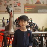Budi Ismail