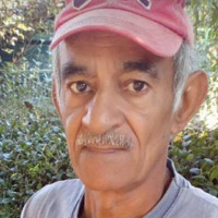 Allan Stevens