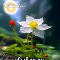 Sunny Kumar