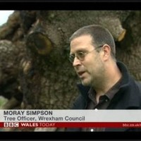 Moray Simpson