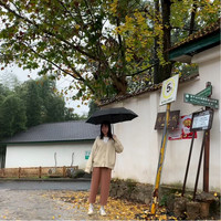王茹霜