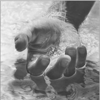 Hernando Luis Muñoz Argumedo