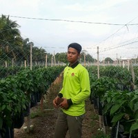 Khairul Amri