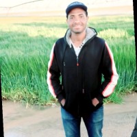 Hussein Abd-Elkader Ahmed Taha