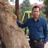 Raj Kumar Shaw