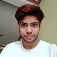 Ashok Meena