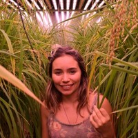 Alejandra Crespo Castaño