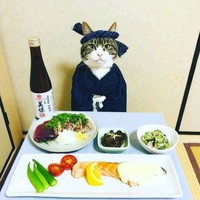 施广一