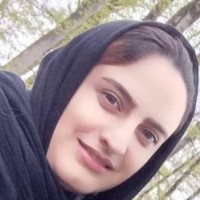 samira parvin