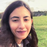 Manal El Abidi