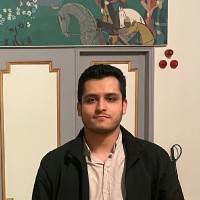 Ali Nikfekr