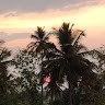 Navya S Prashanth