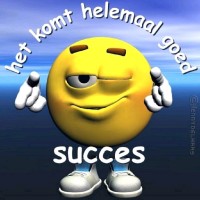 Michiel P