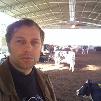 Alexandre Marinho